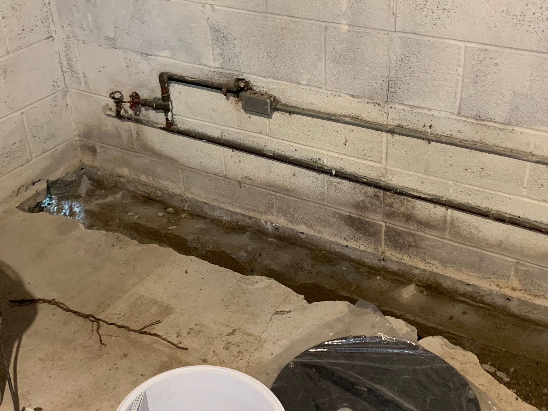 Basement floor with pooled water, cracked concrete, and exposed pipes along the wall