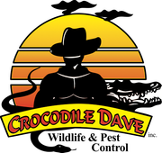Crocodile Dave Pest Control Crocodile Dave Pest Control