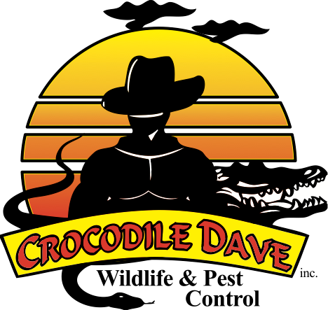 Crocodile Dave Pest Control Crocodile Dave Pest Control