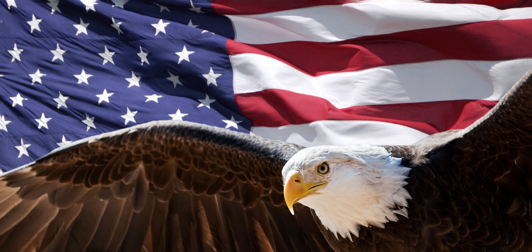 Eagle — Rockford, IL — Keep Northern Illinois Beautiful