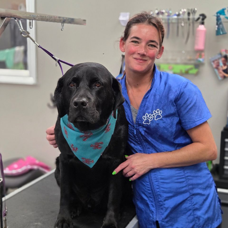Professional dog groomers clarington | Professional dog grooming clarington