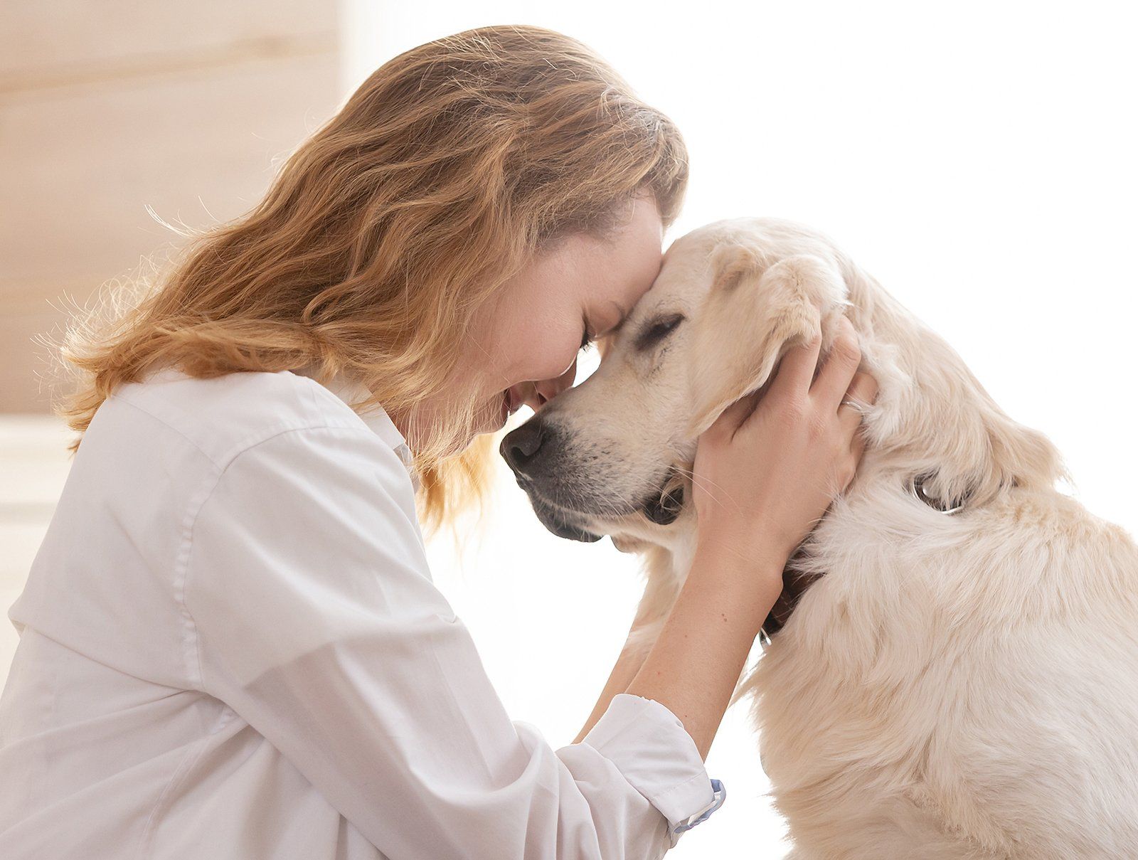 Dog groomers Oshawa | Dog grooming courtice