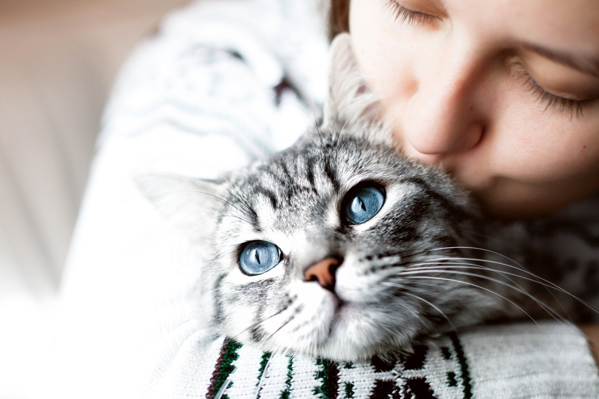 Professional pet groomers Oshawa | Dog groomer courtice