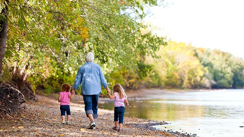 Estate Planning Will Health Care Directive Power of Attorney Trust Transfer on Death Deed