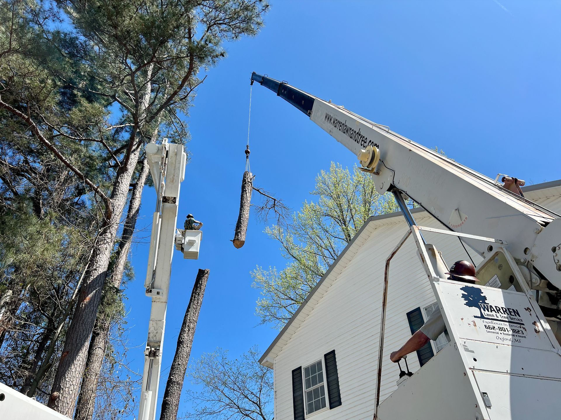 Two tree service trucks cut a tree near a white house. One truck bucket and crane lift cut tree sections against a blue sky.