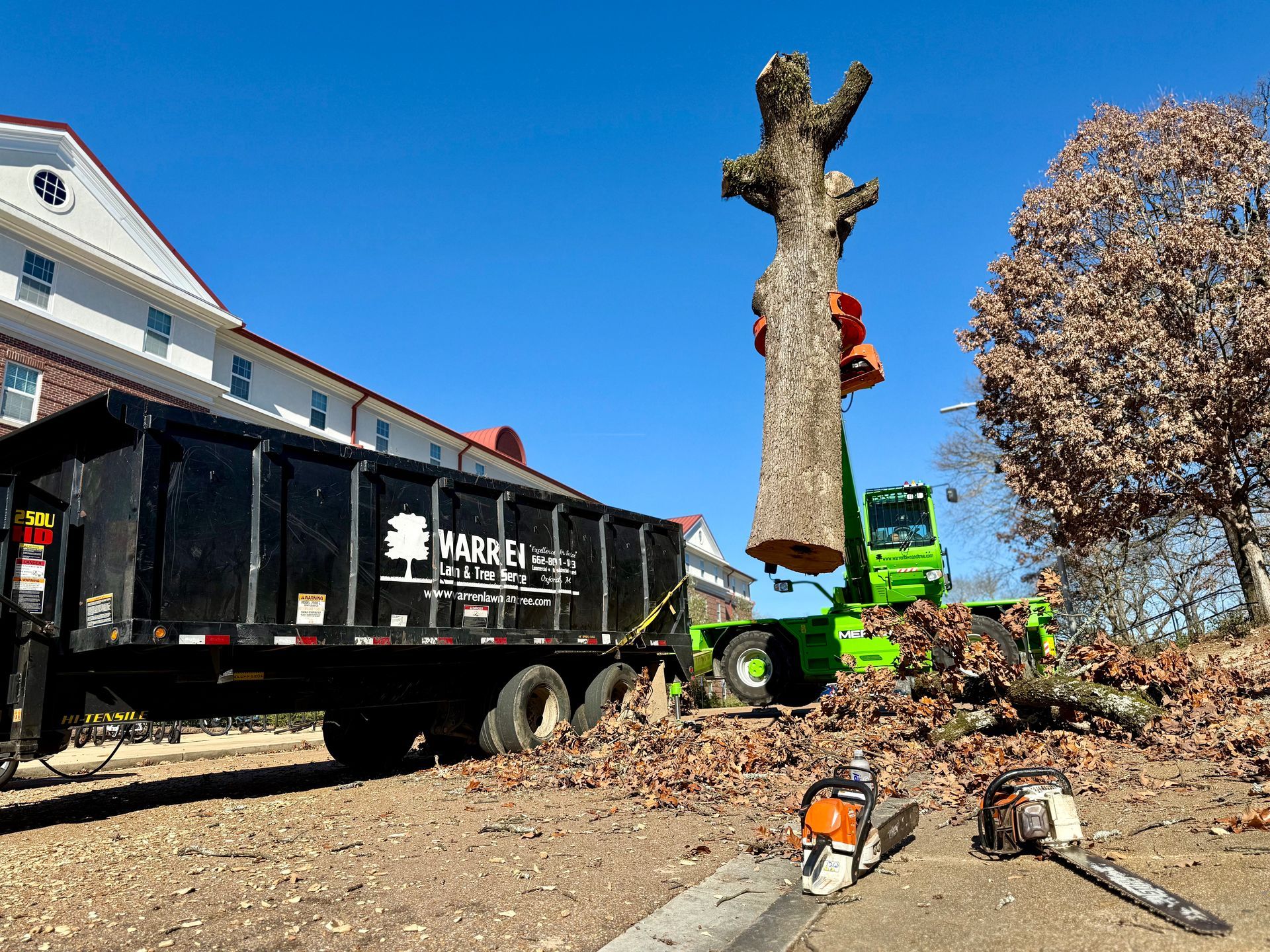Tree removal: A tree being lifted into a black dump truck with green machinery, chainsaws on the ground.