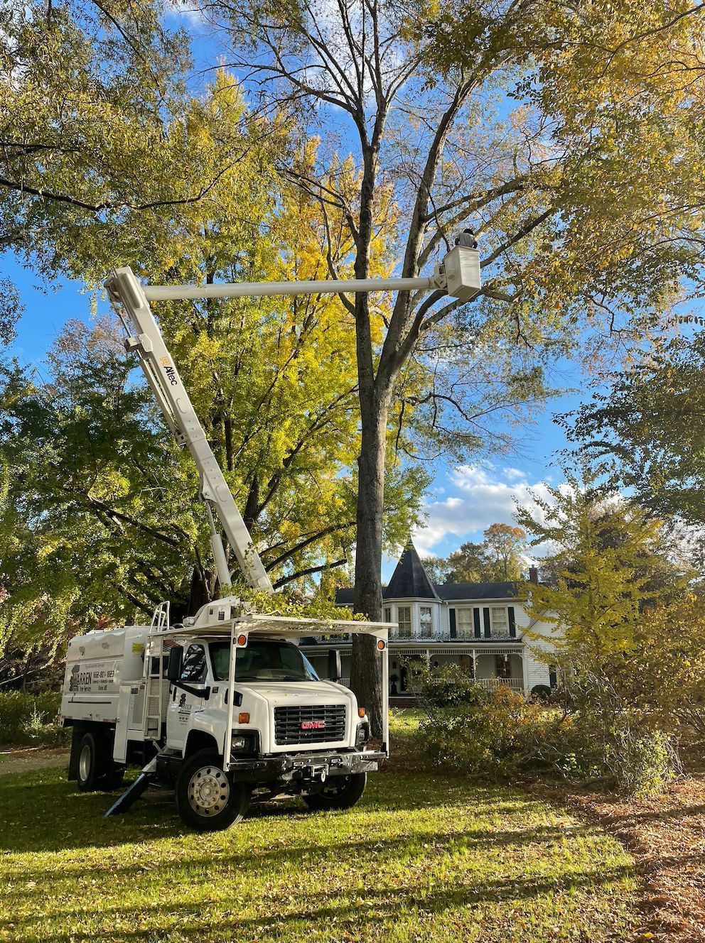 Tree service truck with lift trimming a tree in front of a house on a sunny day.