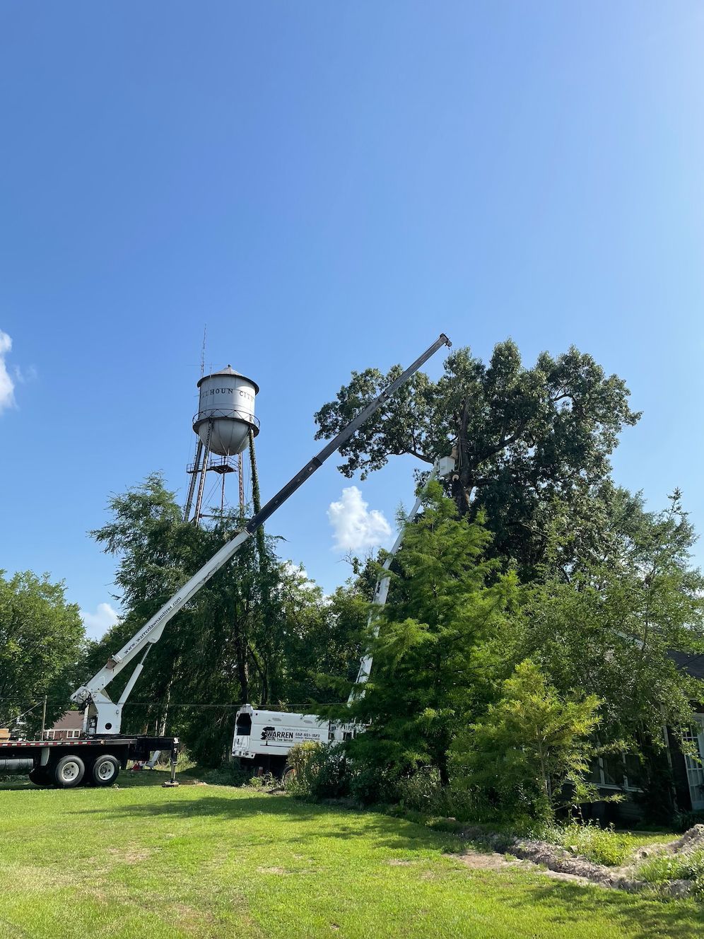 A crane trimming a large tree near a water tower on a sunny day.