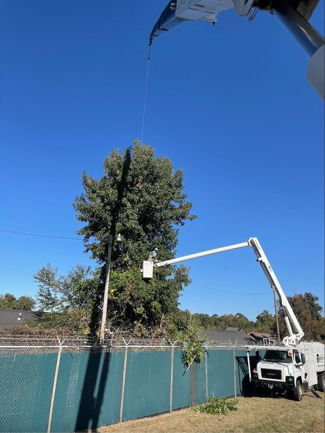 A tree being trimmed by a bucket truck next to a green fence on a sunny day.