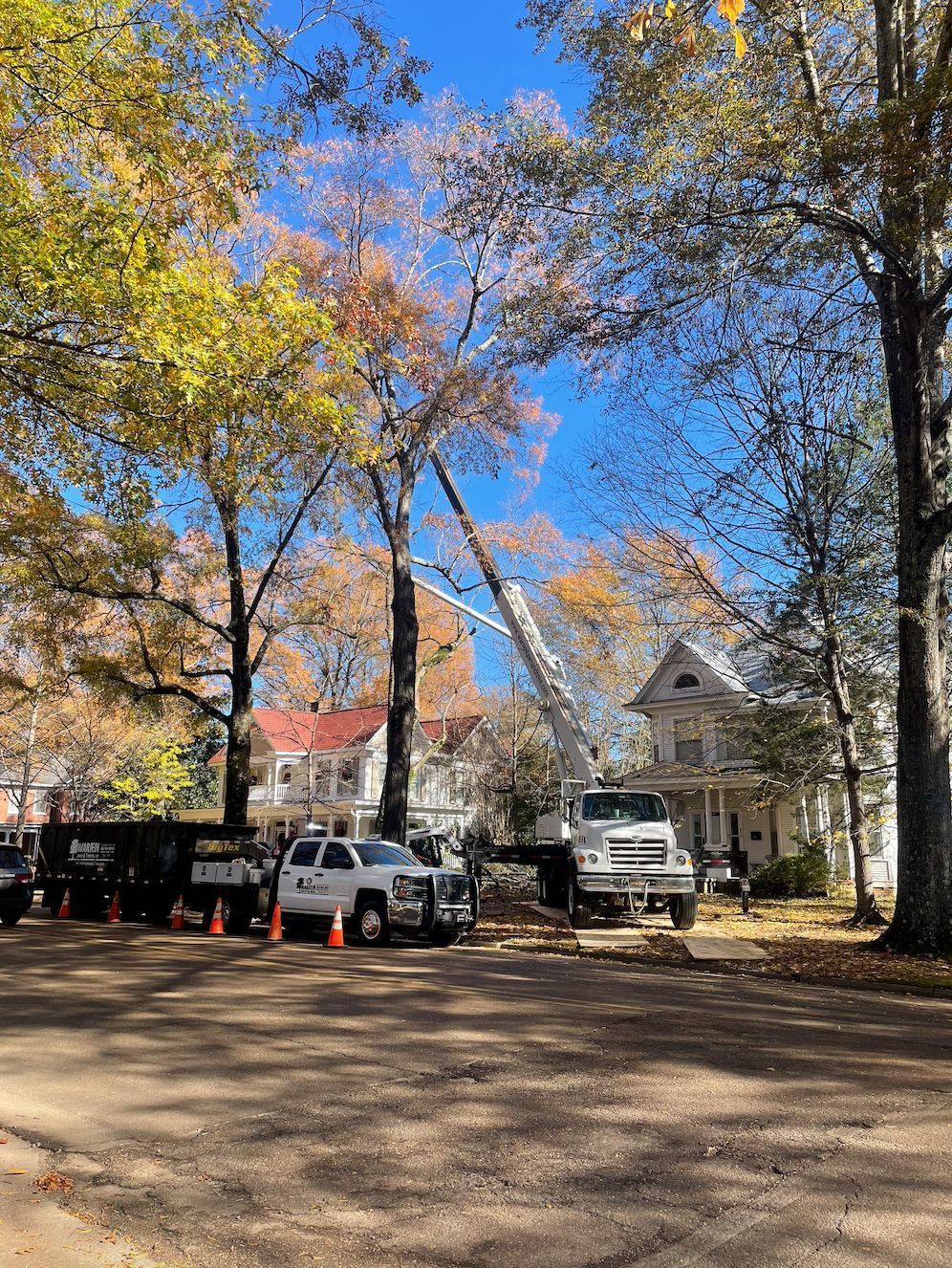 Tree trimming with lift truck near houses and vehicles on a sunny day.