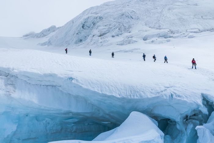 Hikers walking across a snowy glacier above a blue ice crevasse
