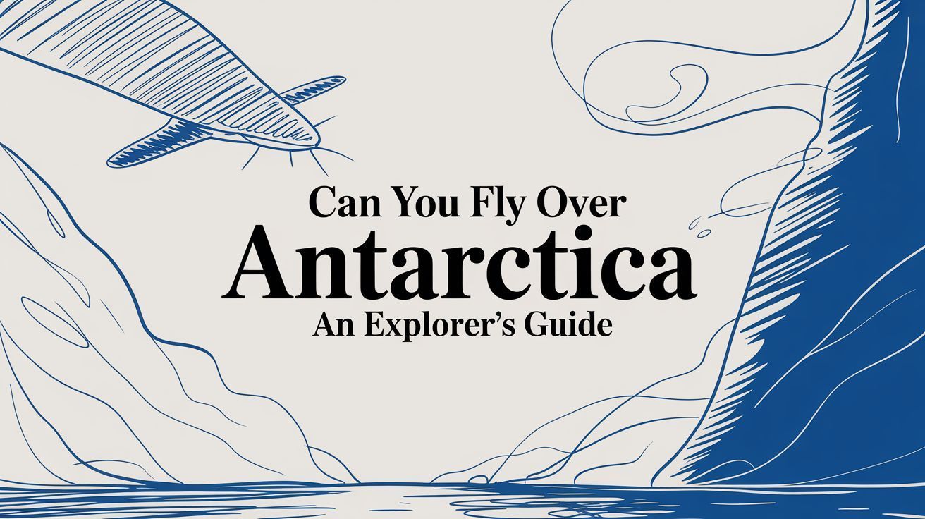 Illustrated cover reading “Can You Fly Over Antarctica: An Explorer’s Guide” with blue line art of Antarctica.