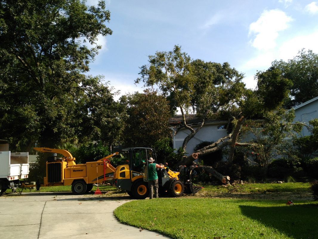 Heavy Equipment for Removing Trees — Tavares, FL — Clearcut Tree Service, Inc