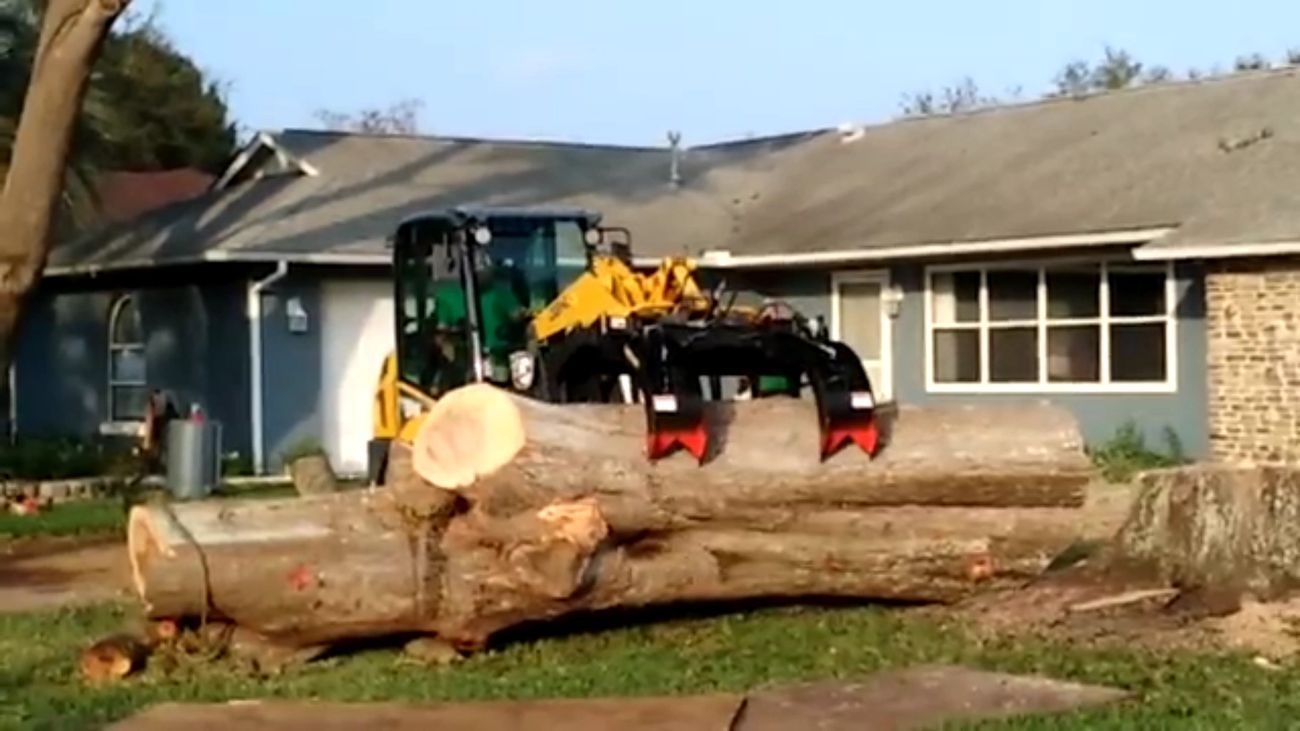 Clearing Large Tree Trunks — Tavares, FL — Clearcut Tree Service, Inc