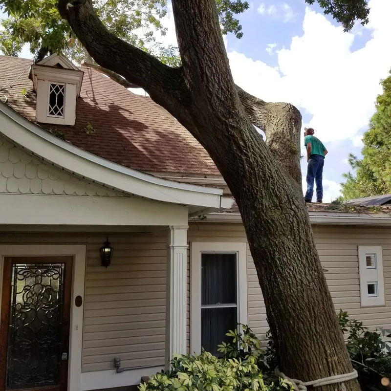 Sweeping Water — Tavares, FL — Clearcut Tree Service, Inc Storm Clean Up — Tavares, FL — Clearcut Tree Service, Inc