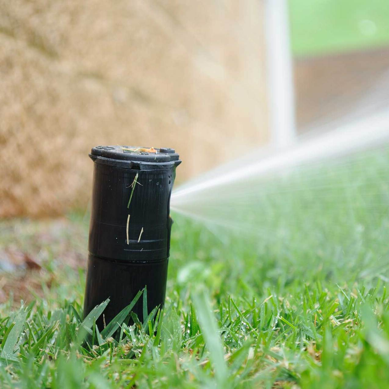 Sprinkler Repair Services in Palm Valley, FL