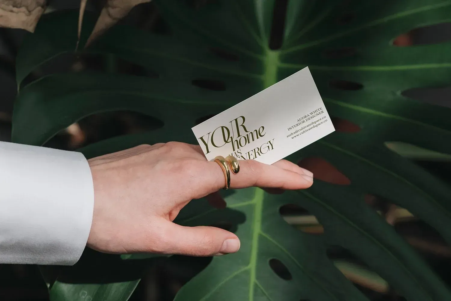 Hand holding a business card in front of a large green leaf, wearing a ring.
