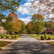 Tree-lined suburban street with brick houses and autumn foliage under a partly cloudy sky