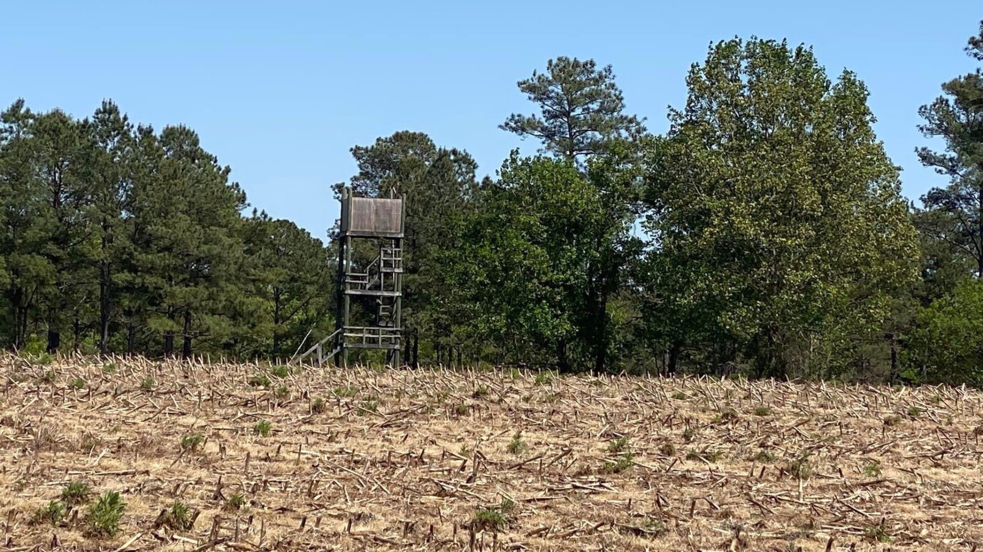 Tall Cotton Quail Hunting Preserve | North Carolina Quail Hunting