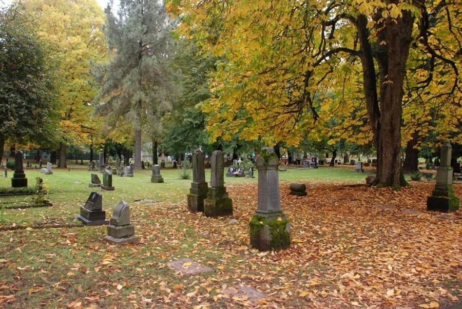 A cemetery with trees and leaves on the ground