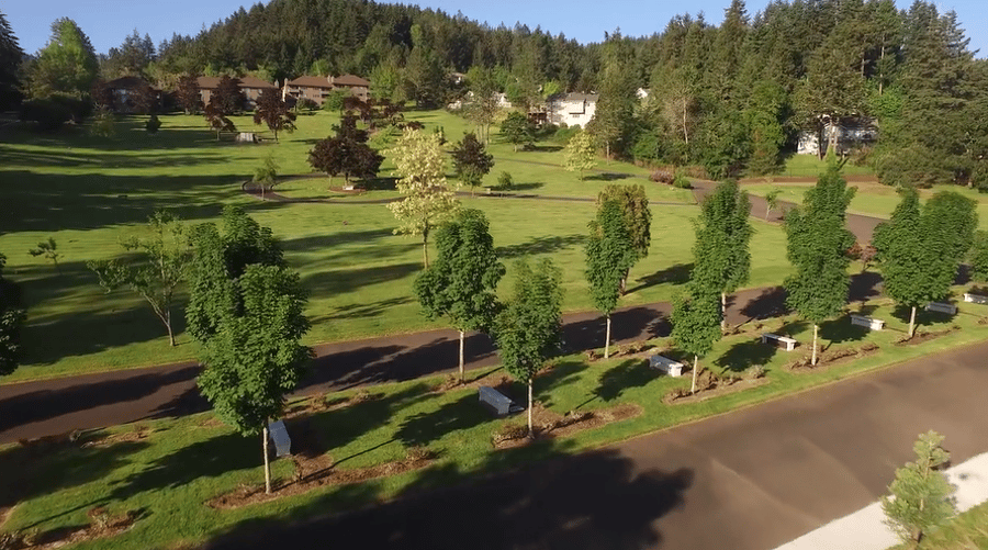 An aerial view of a park with trees and grass