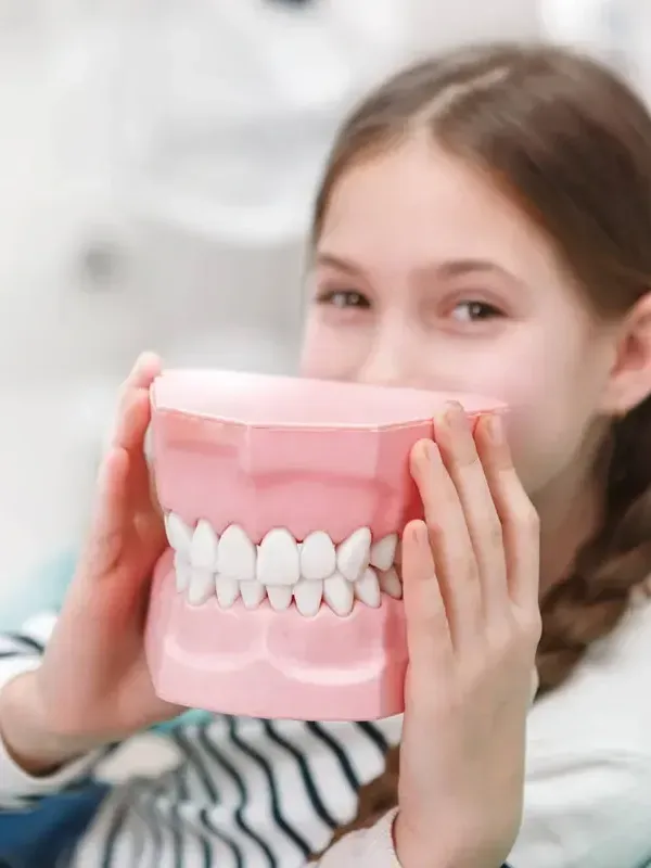 A young girl is holding a model of her teeth in front of her face.