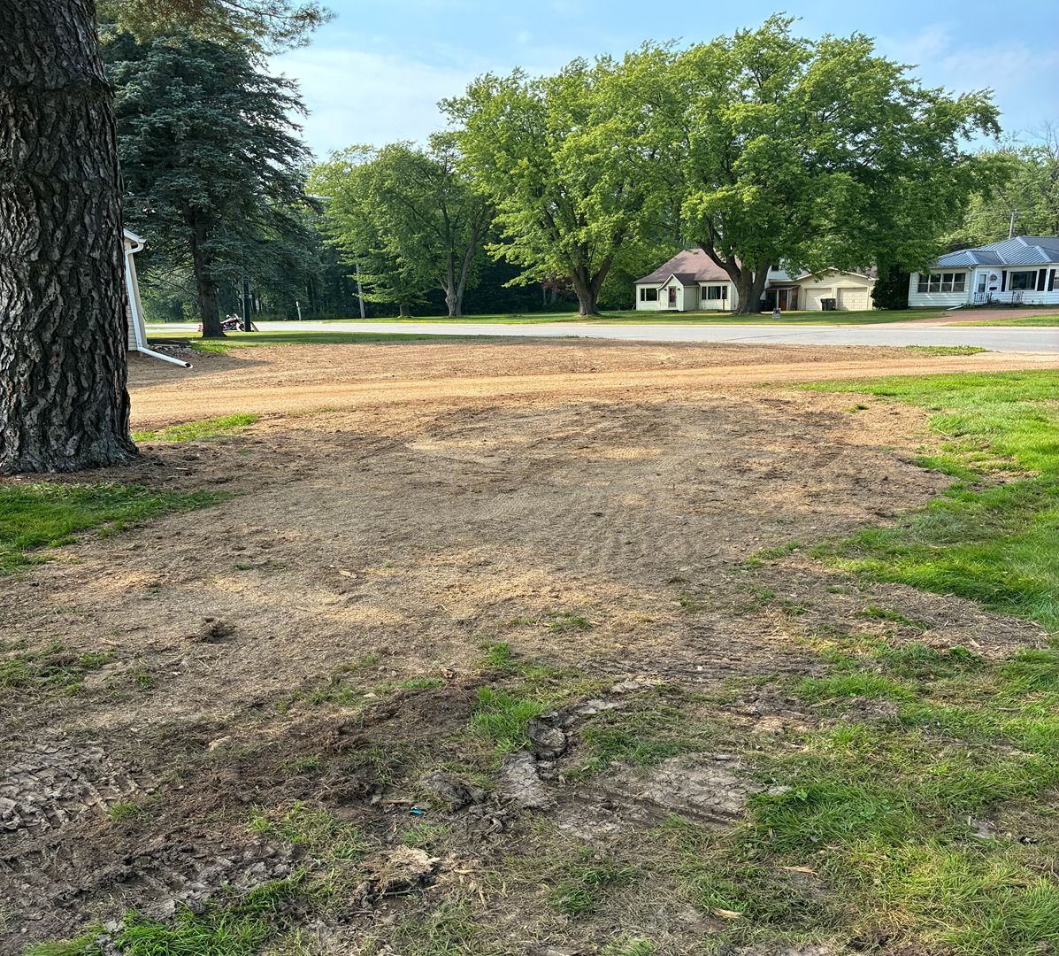 Bare dirt patch and grass in a suburban yard with large trees and houses across the street