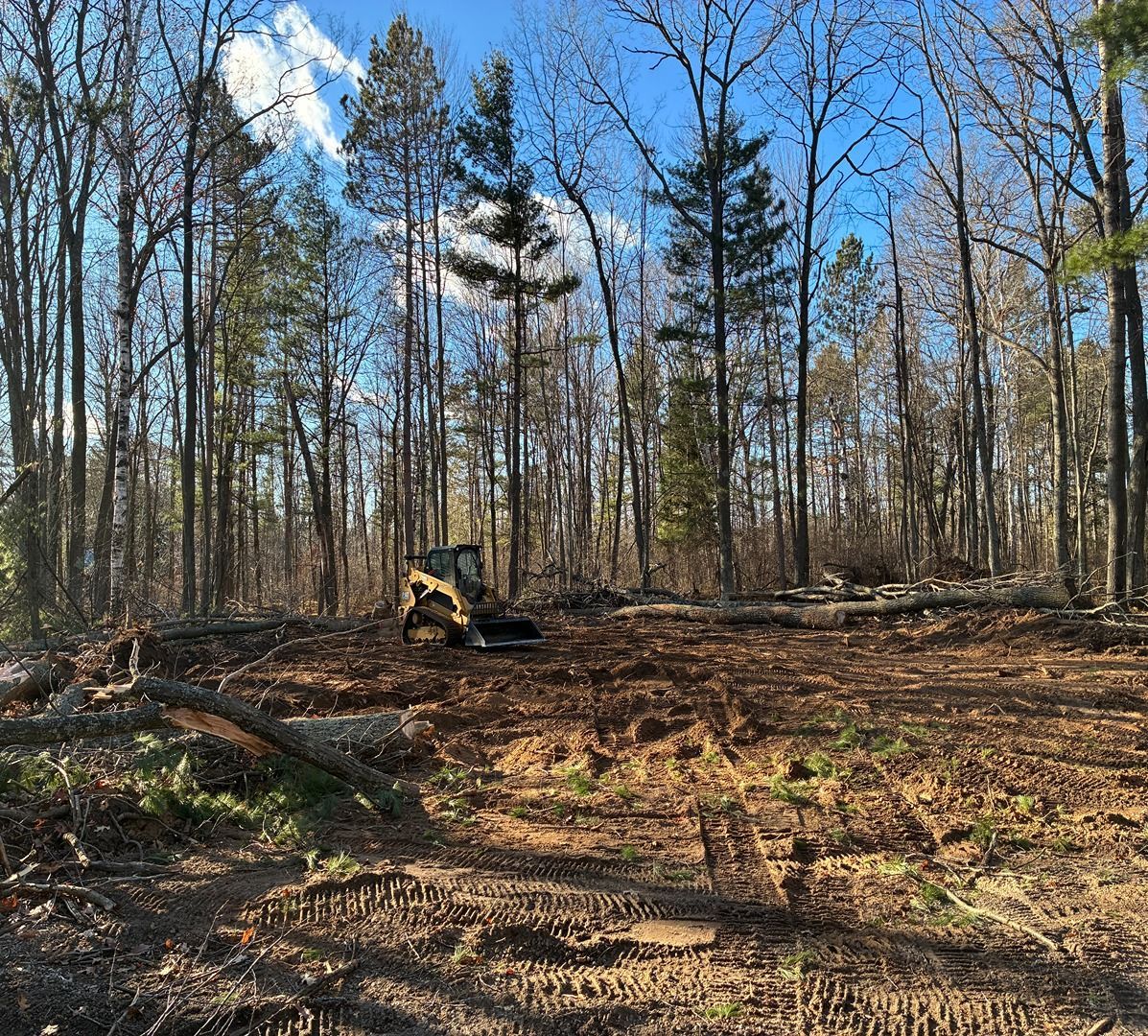 Cleared forest with a small bulldozer and piles of cut logs under bare trees and blue sky