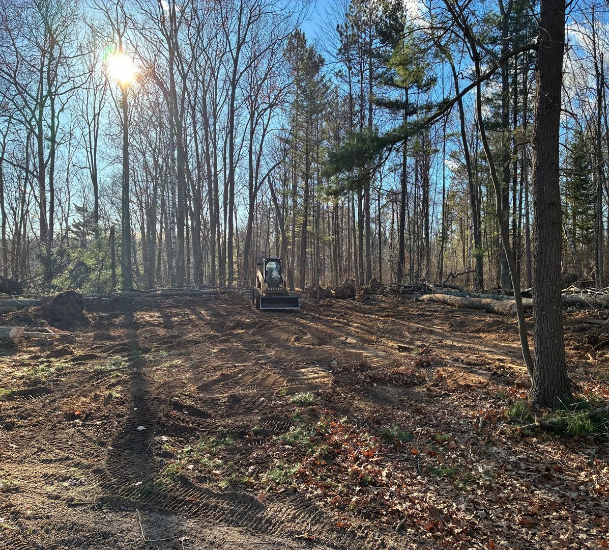 Cleared forest with a small excavator in the center and sunlight through bare trees