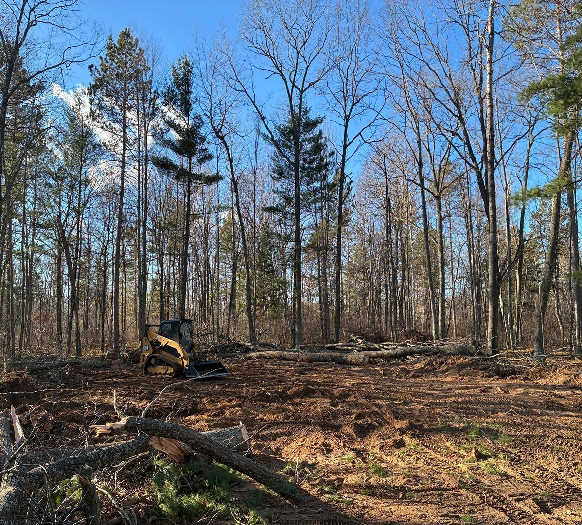 Cleared woodland with a small excavator among fallen trees under a blue sky