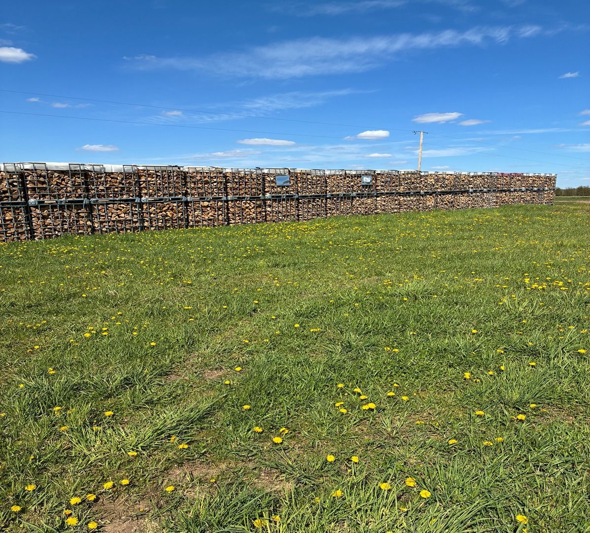 Stacked wooden logs behind a green grassy field under a bright blue sky.