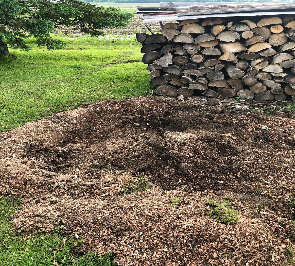 Pile of mulch beside stacked firewood in a grassy yard