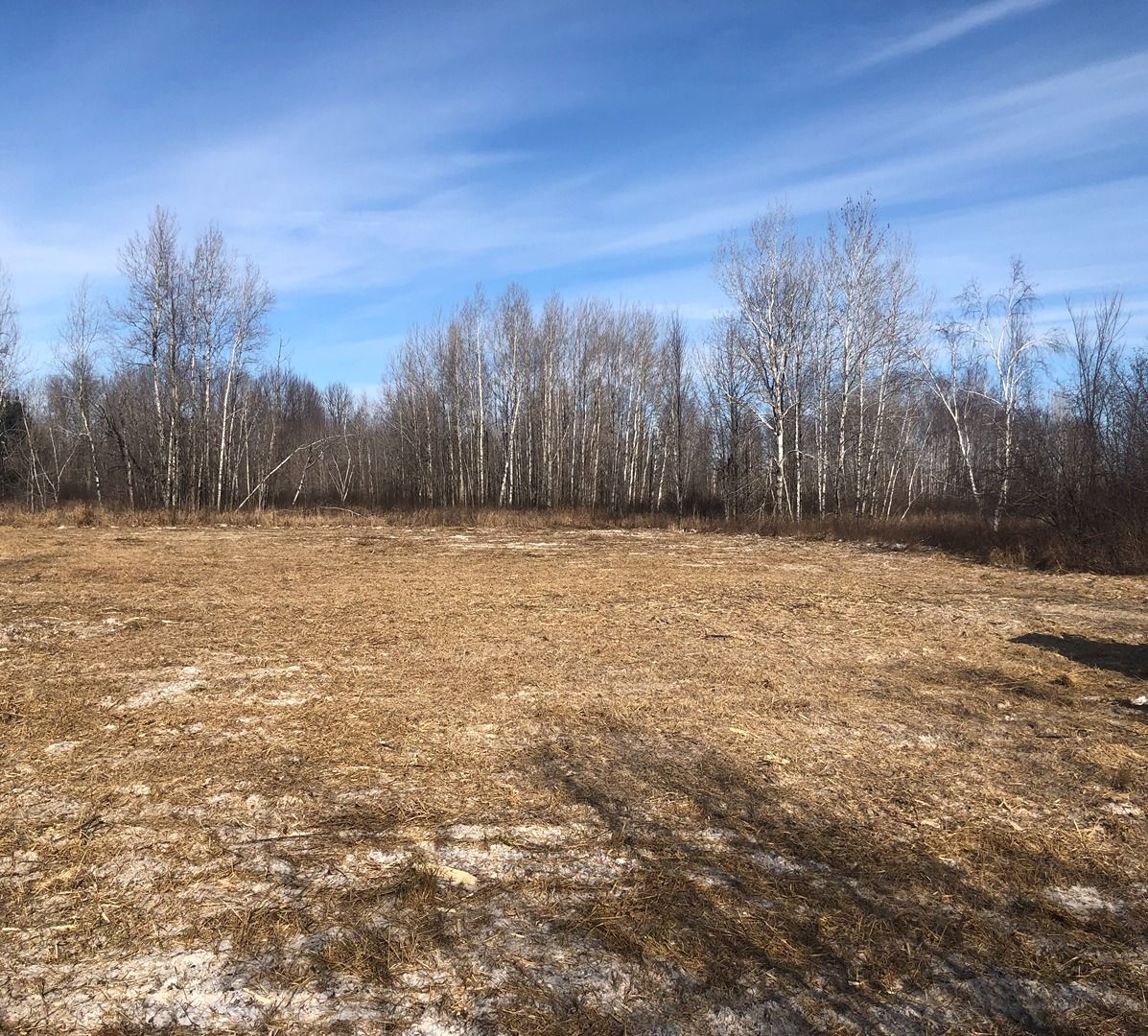 Open field with dry grass, leafless trees, and a blue sky with wispy clouds.