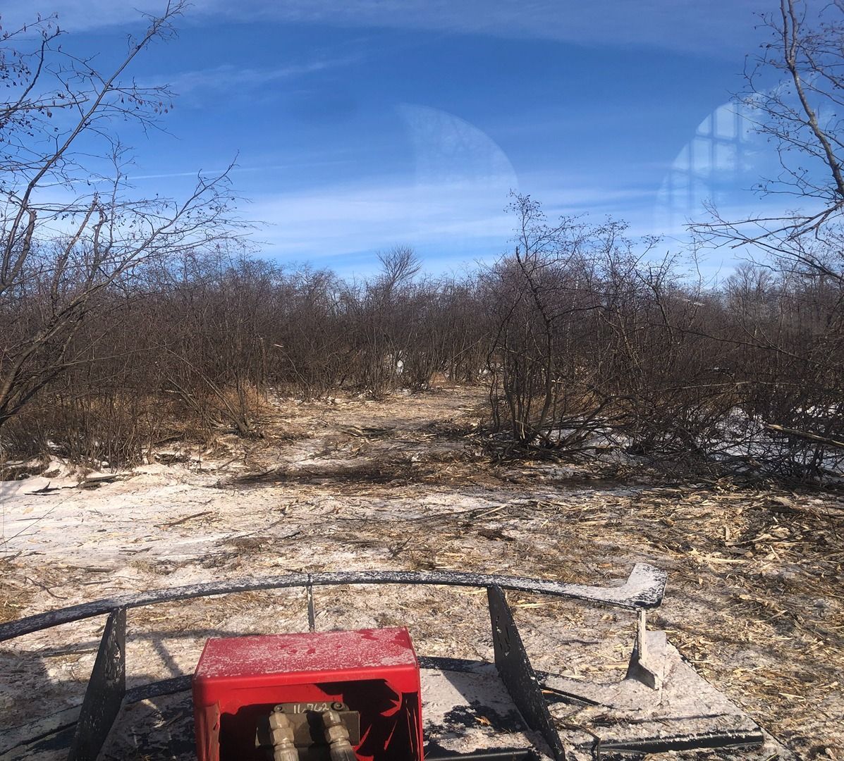 Dry scrubland under a blue sky, viewed from a vehicle with a red front panel and metal rail visible.