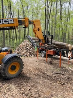 JCB loader lifting logs beside a red sawmill in a wooded clearing