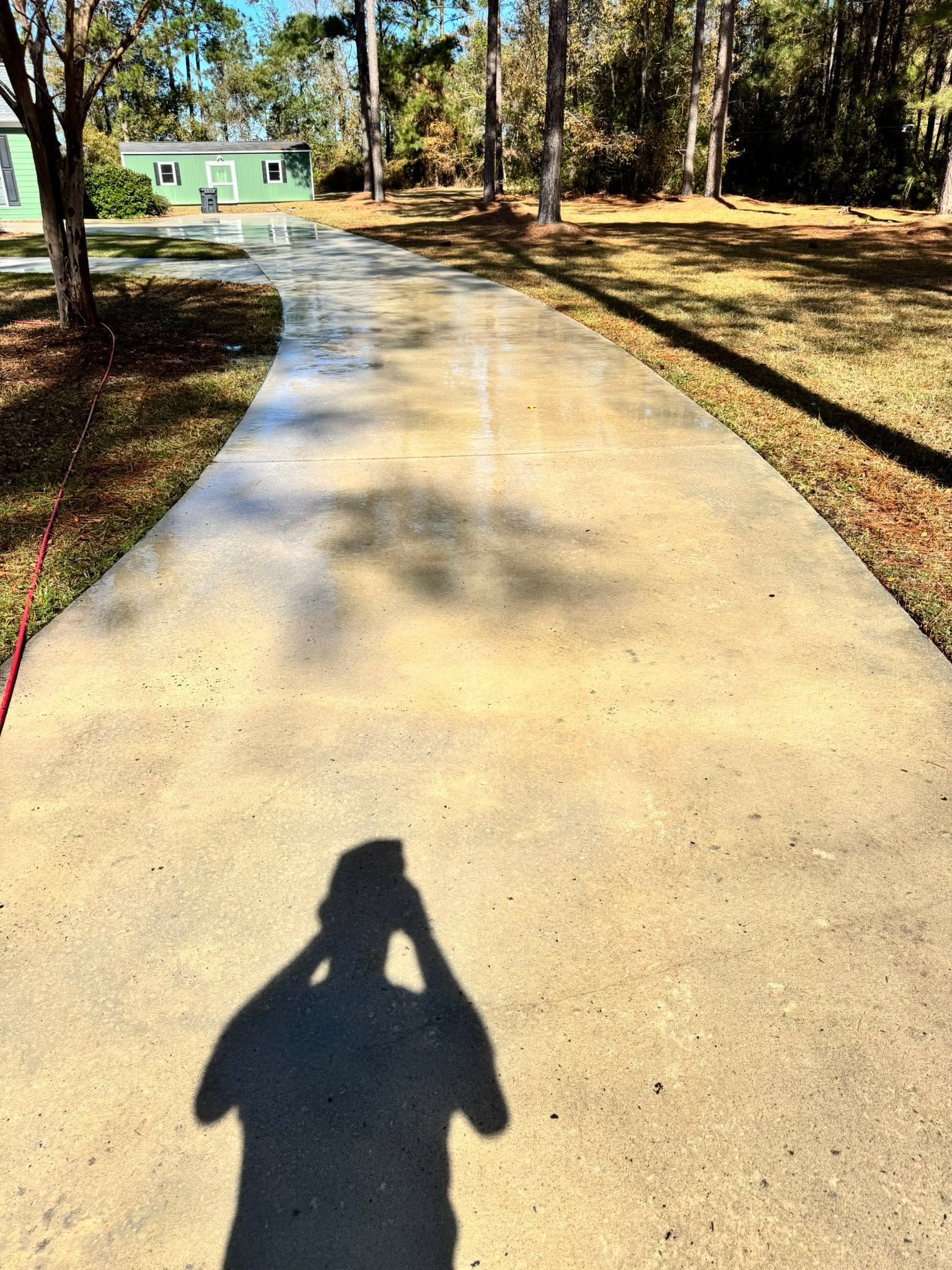 Curved concrete driveway leading to a green house, with a person’s shadow in the foreground and trees along both sides