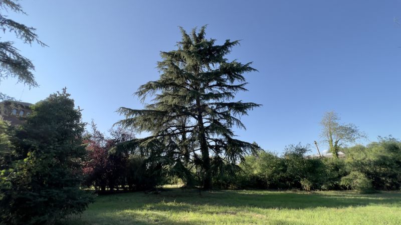 Villa in vendita a Saronno