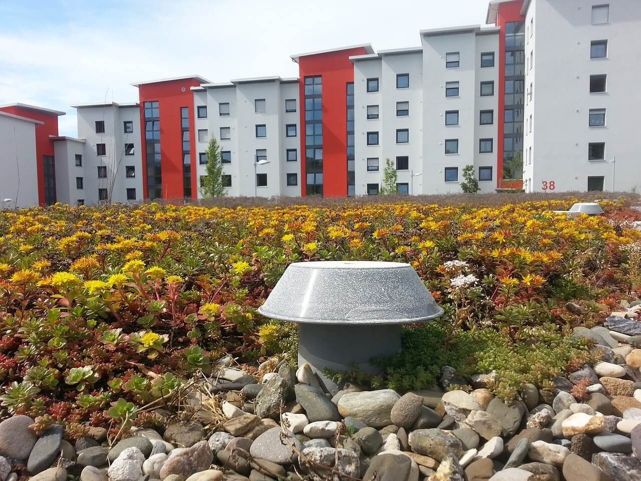 Green roof with vegetation and a metal vent, in front of apartment buildings.