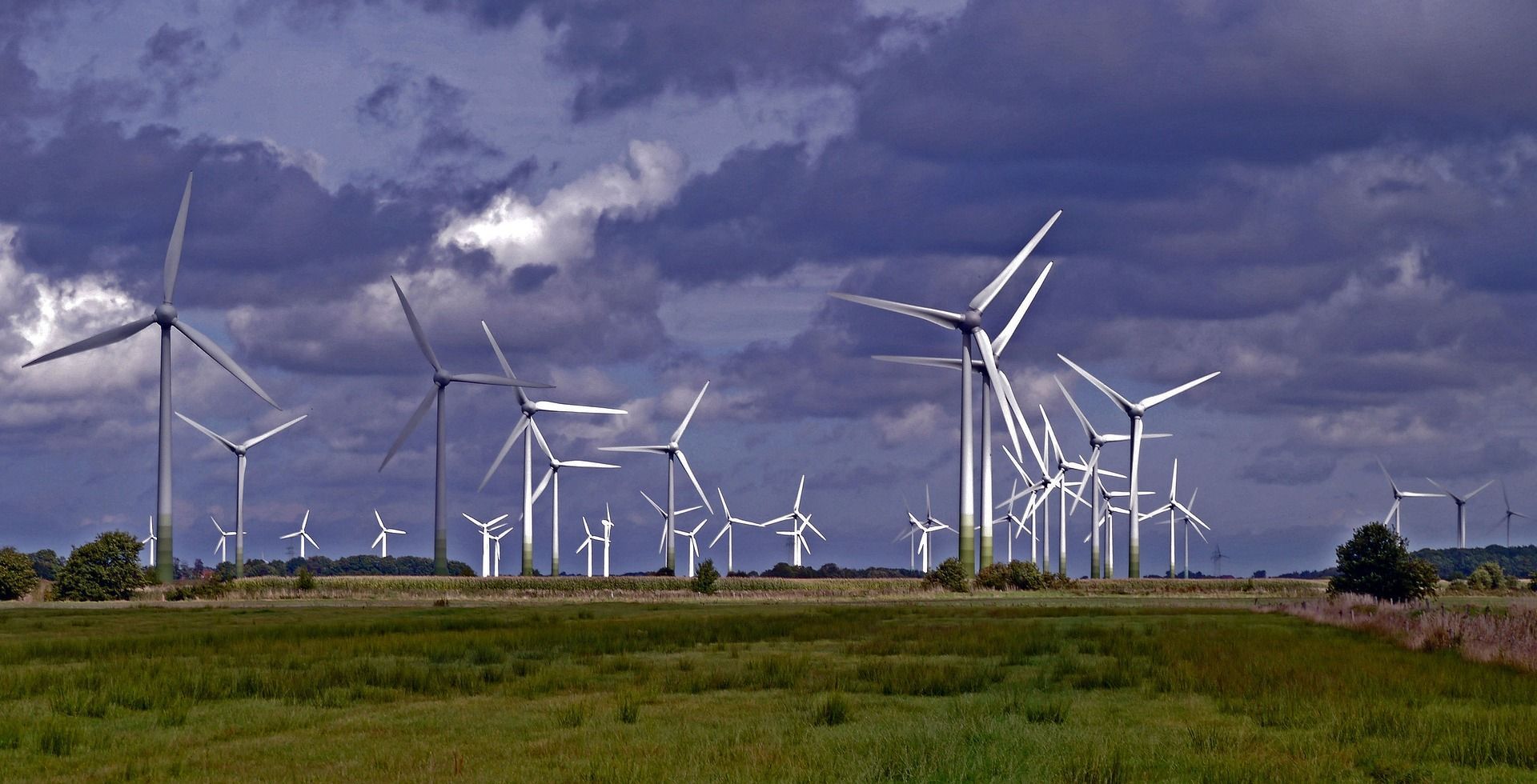 Windräder auf einem Feld