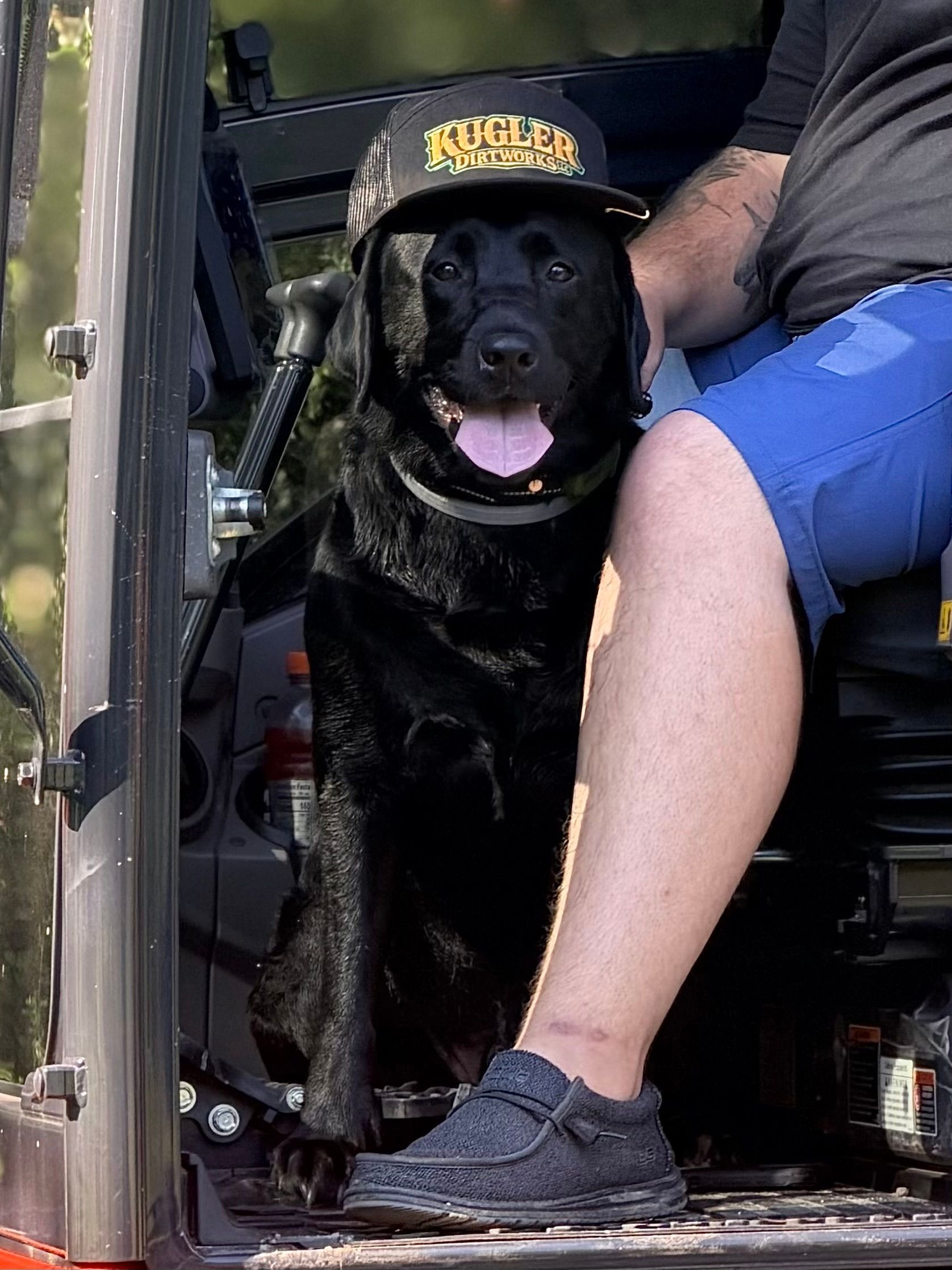 Black dog wearing a yellow cap sits between a person's legs in a vehicle, tongue out.