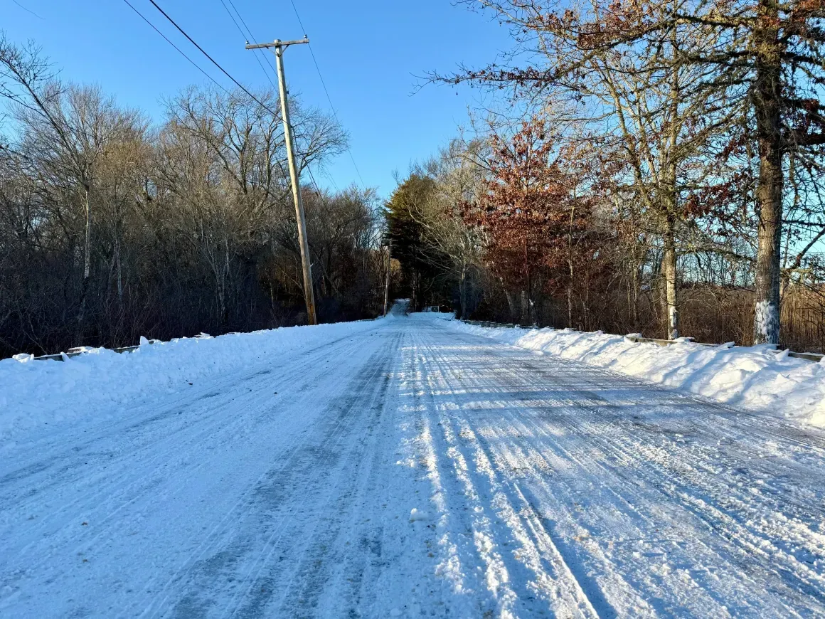 Snow-covered rural road lined with bare trees and utility poles under a clear blue sky