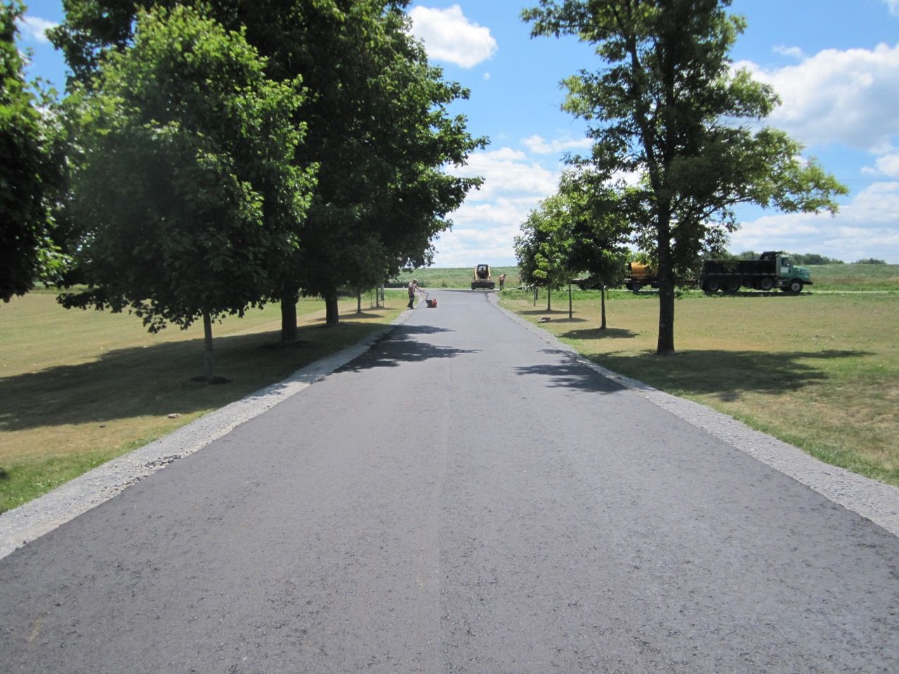 A road going through a field with trees on both sides