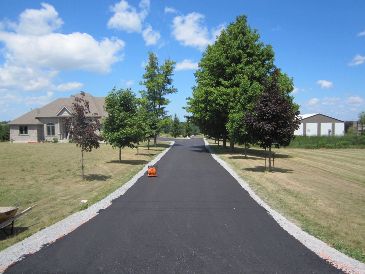 A driveway leading to a house with trees on both sides