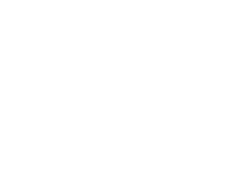 Blank white screen
