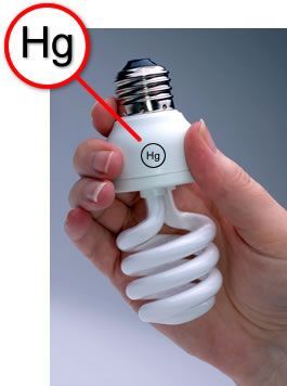 A bunch of different types of light bulbs on a wooden table