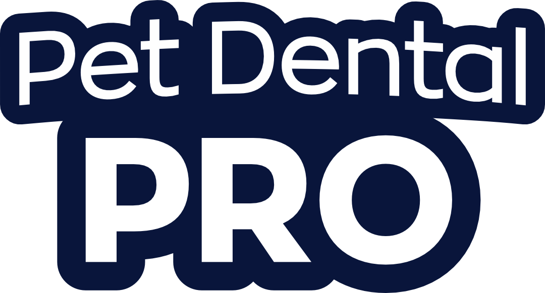 Pet dental pro miami care smile dog