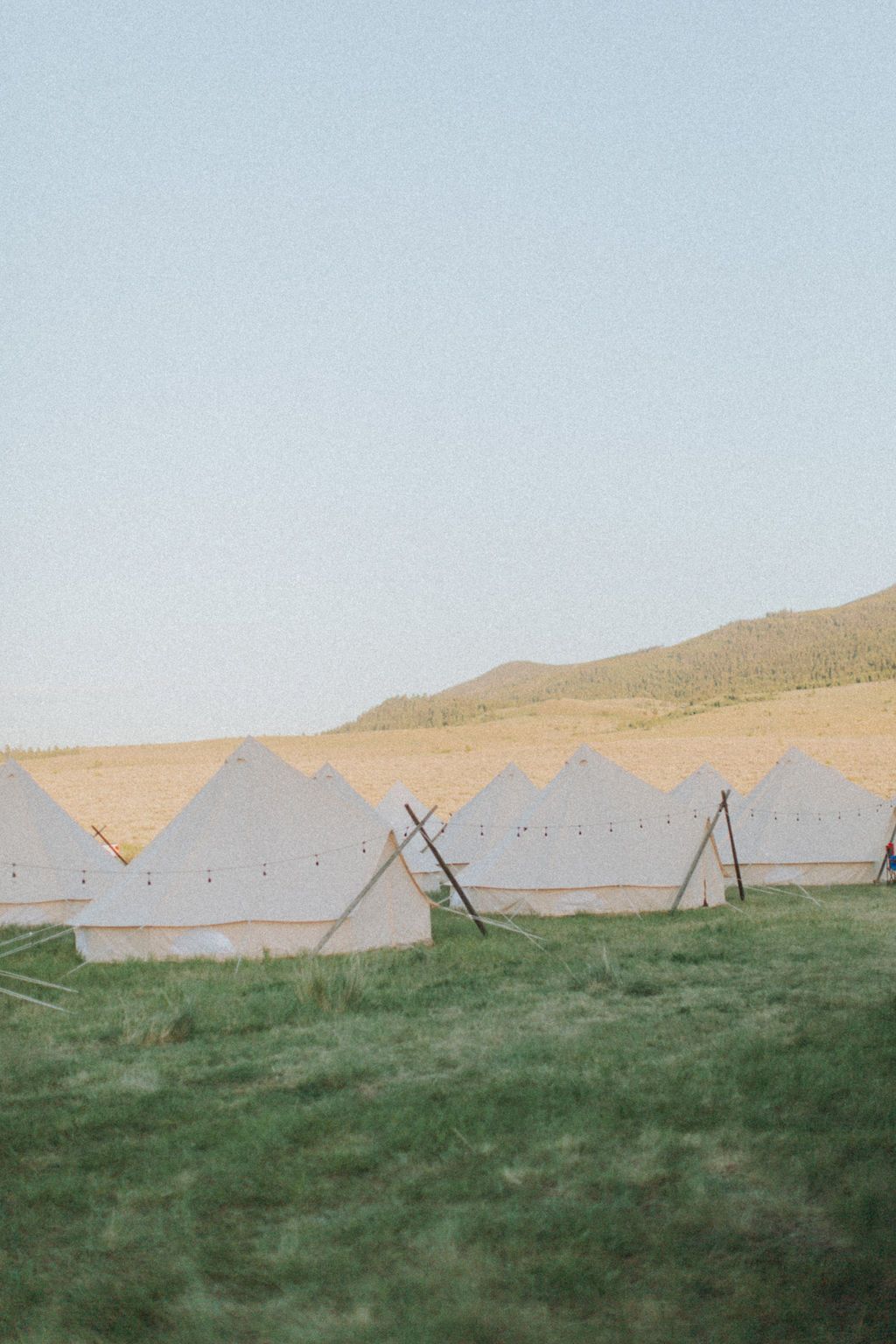 Row of white tents on grassy ground under a clear sky, with hills in the background