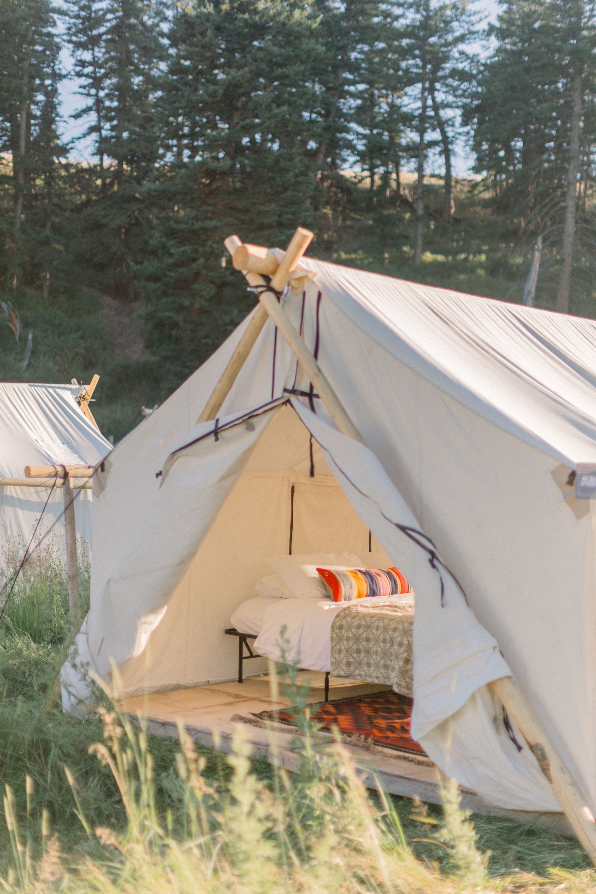Open tent with bed inside in a forest campsite