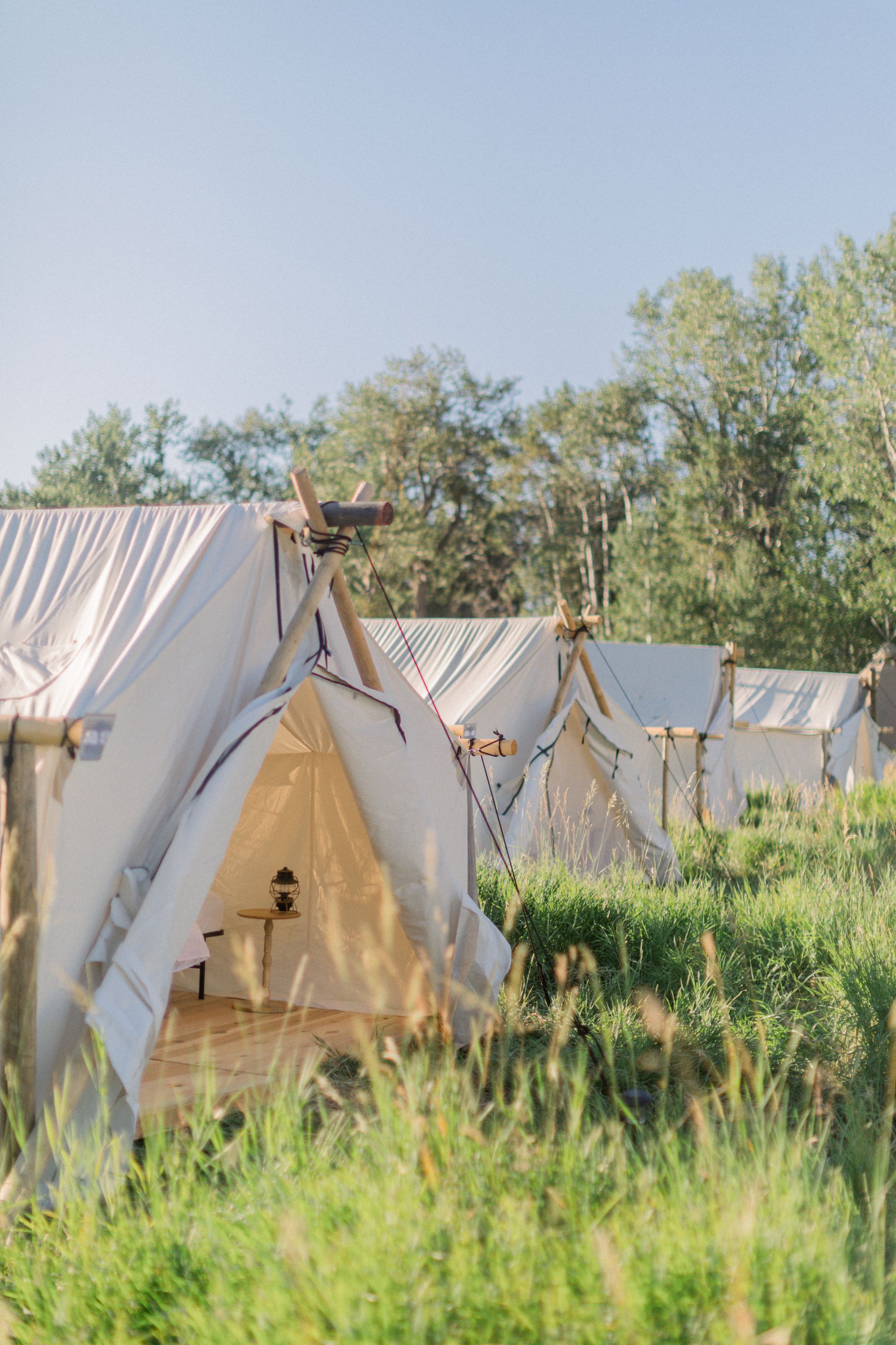 Row of white canvas tents in a grassy field under a clear blue sky