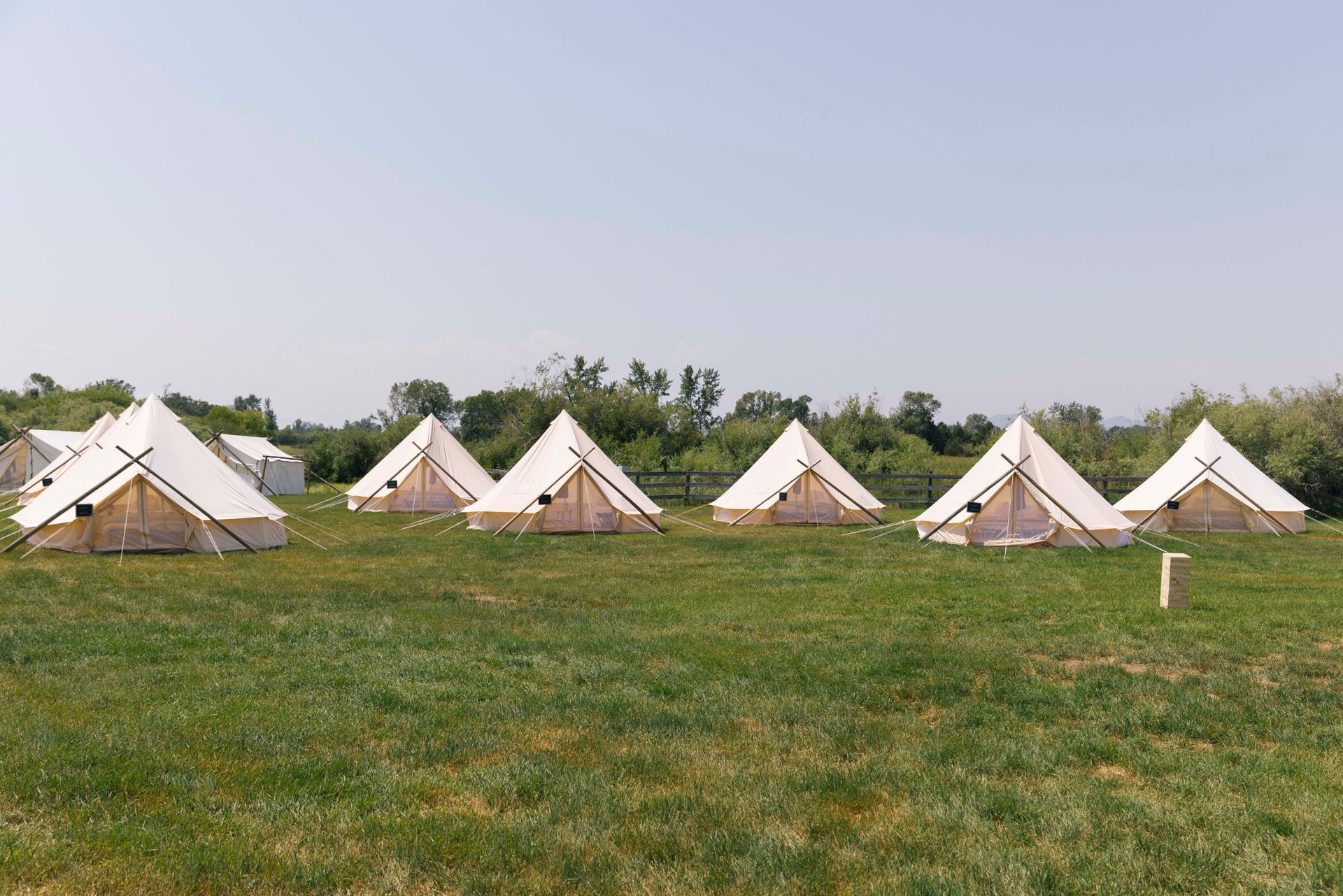 White tents lined up on a grassy field under a clear sky, with trees in the background